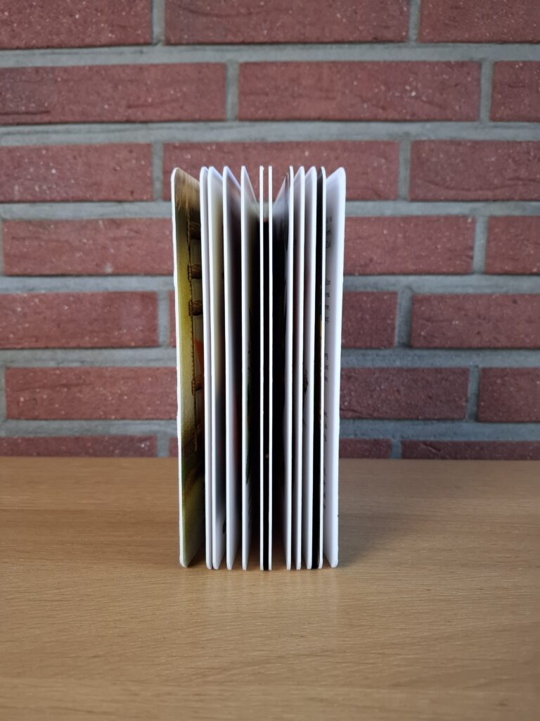 Aufgefächerte dicke Pappseiten des Geschwisterbuchs von der Seite
